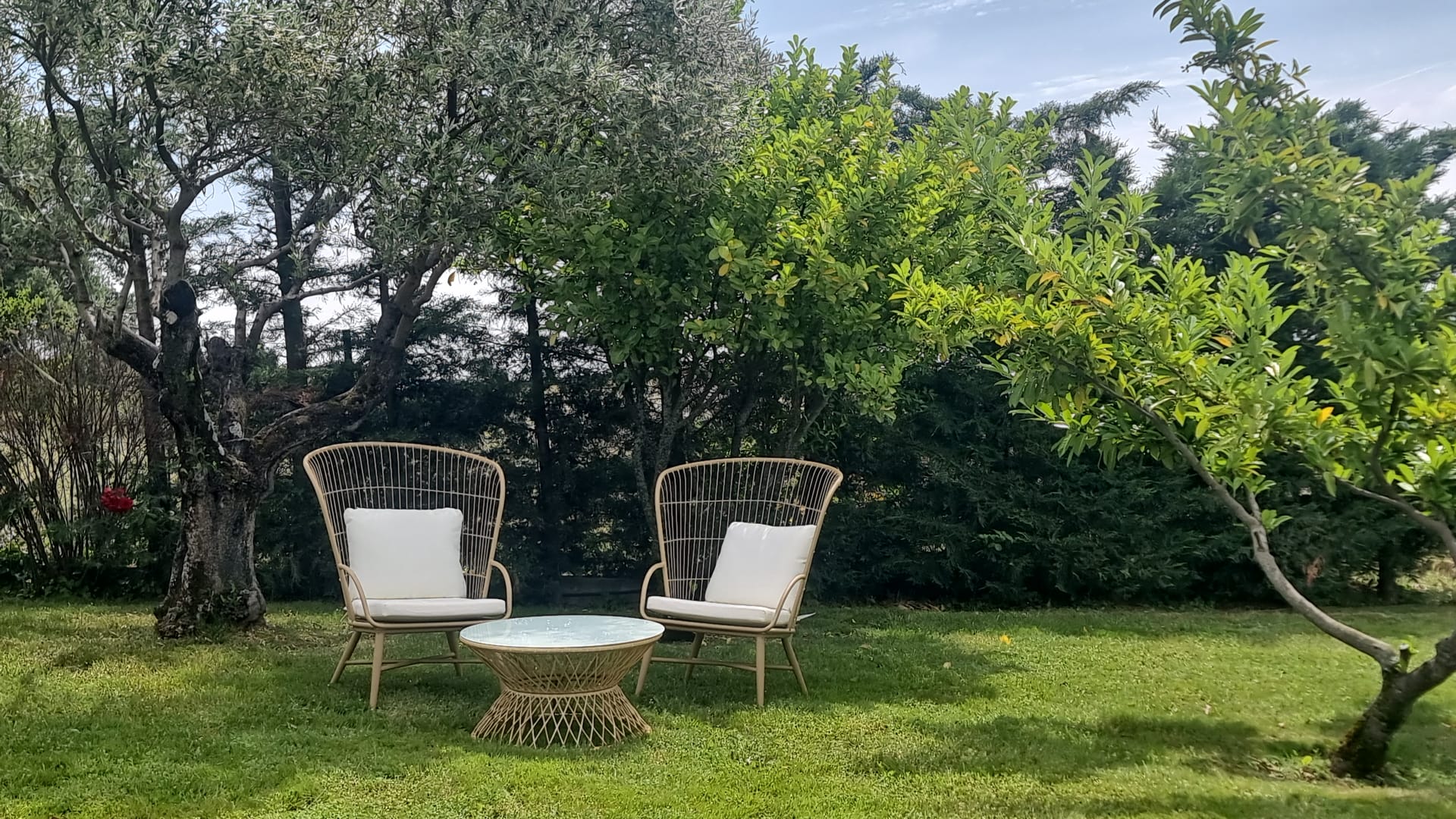 Mesa decorada com hortênsias na Quinta da Carvalhinha
